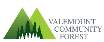 vcf.webp